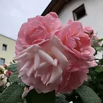 Garni Betty 3* Μεράνο