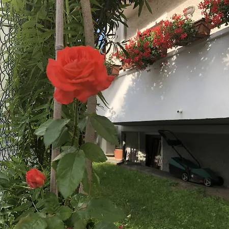 Bed & Breakfast Garni Betty 3*