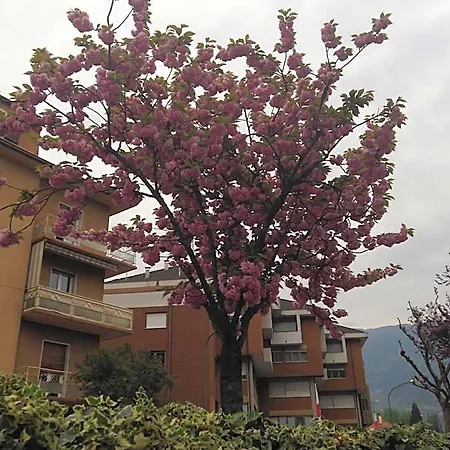 Garni Betty 3* Merano