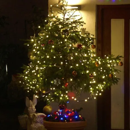 فندق مبيت وإفطار Garni Betty 3*