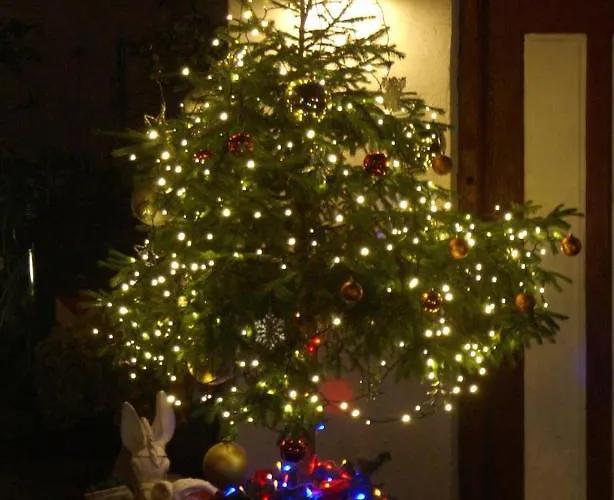 Bed & Breakfast Garni Betty 3*